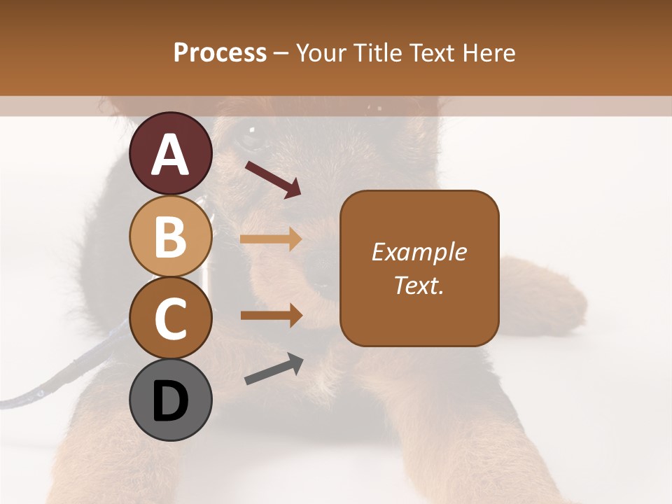 Sweet Adorable Eyes PowerPoint Template