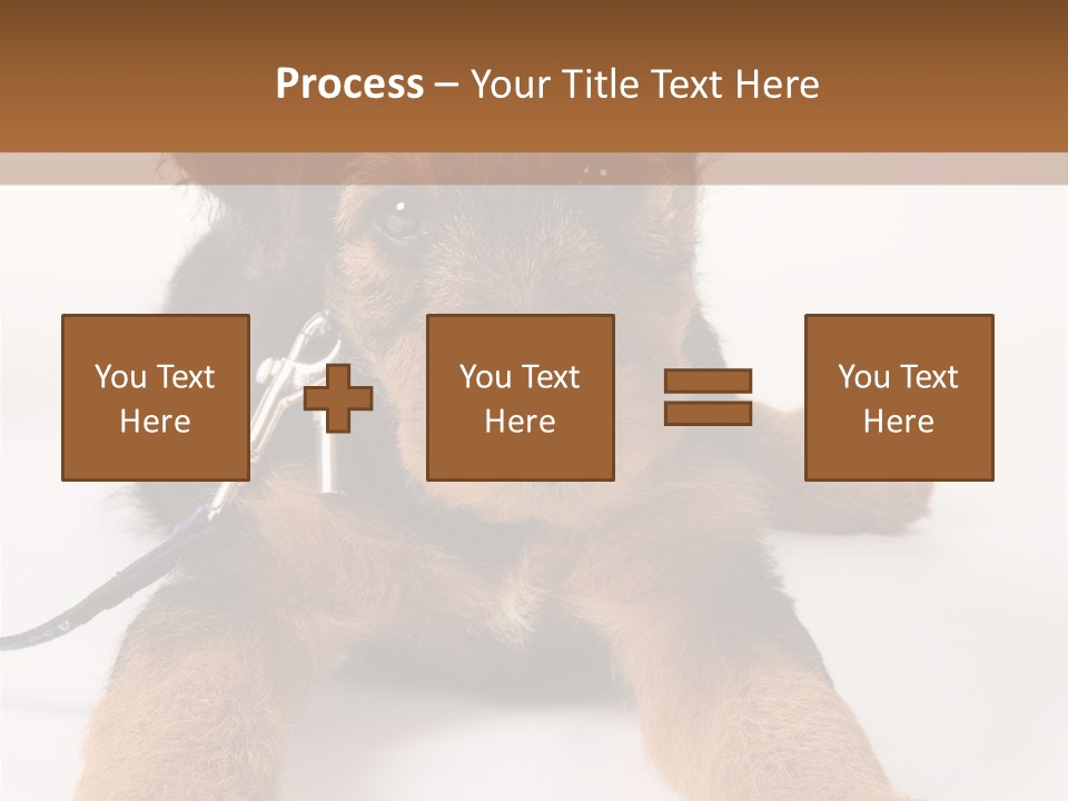 Sweet Adorable Eyes PowerPoint Template