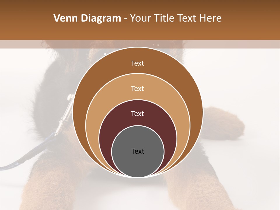 Sweet Adorable Eyes PowerPoint Template