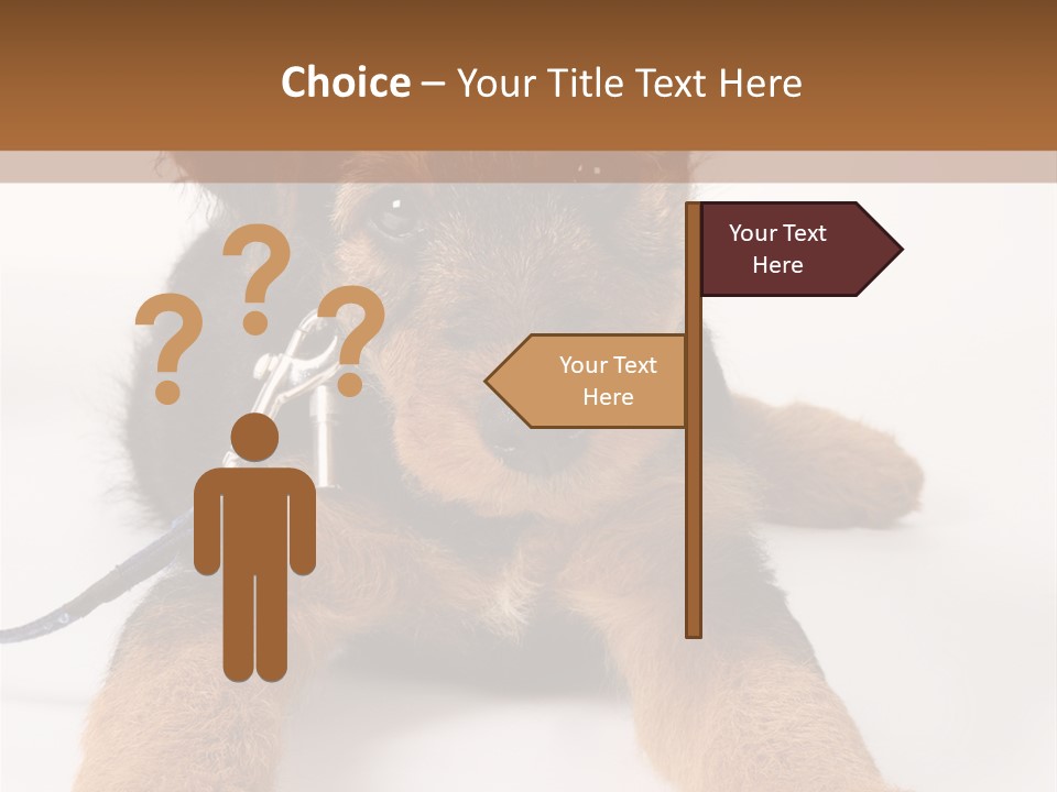 Sweet Adorable Eyes PowerPoint Template