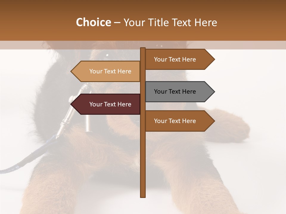 Sweet Adorable Eyes PowerPoint Template