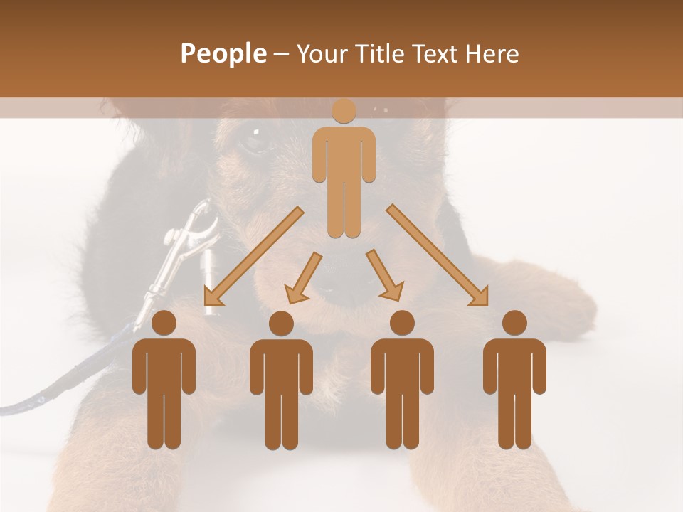 Sweet Adorable Eyes PowerPoint Template