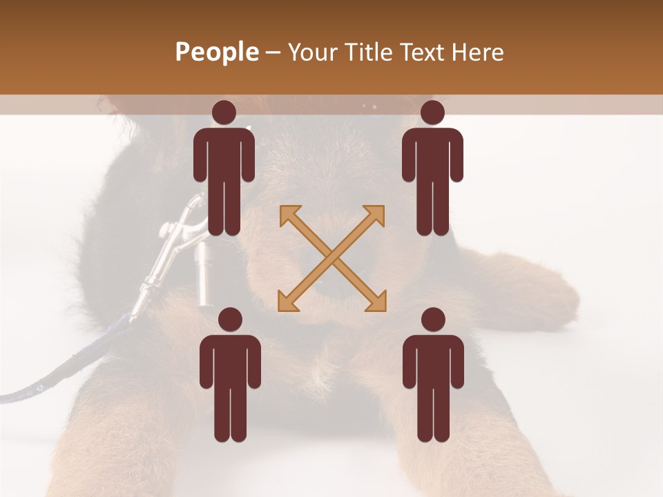 Sweet Adorable Eyes PowerPoint Template