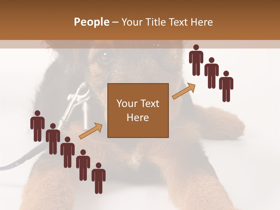 Sweet Adorable Eyes PowerPoint Template