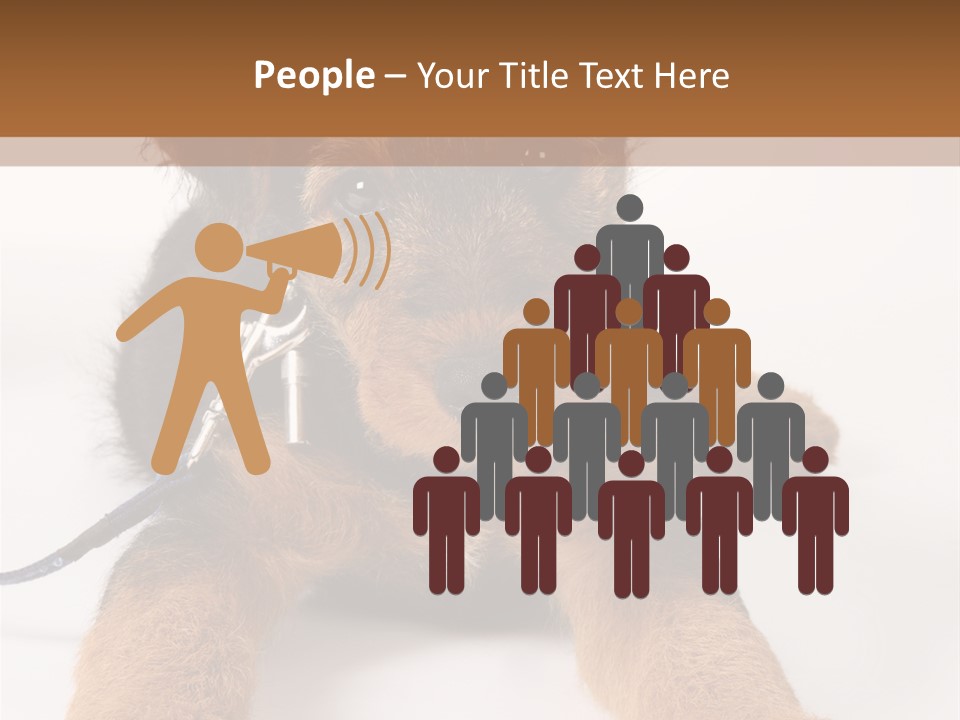 Sweet Adorable Eyes PowerPoint Template