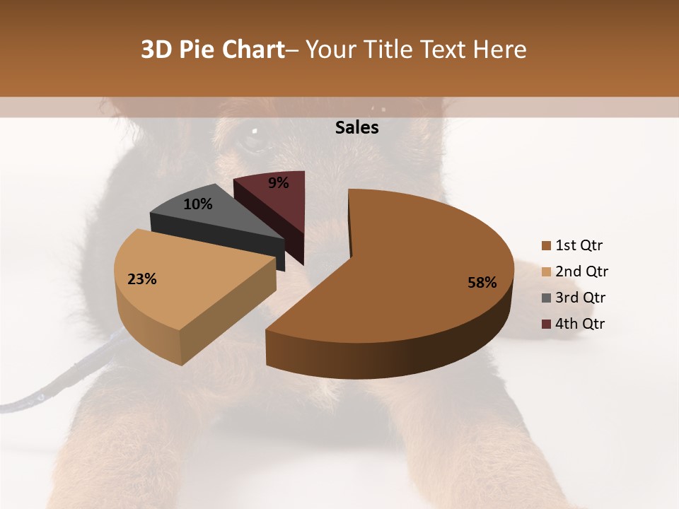 Sweet Adorable Eyes PowerPoint Template