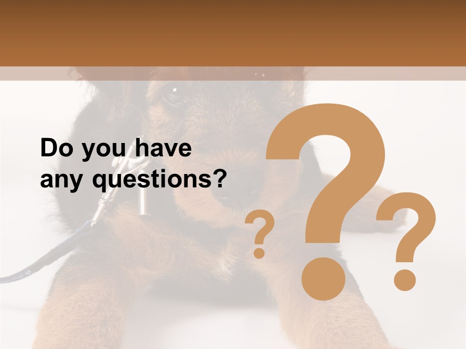 Sweet Adorable Eyes PowerPoint Template