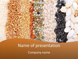 Stalk Slice Straw PowerPoint Template