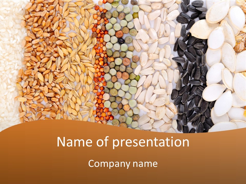 Stalk Slice Straw PowerPoint Template