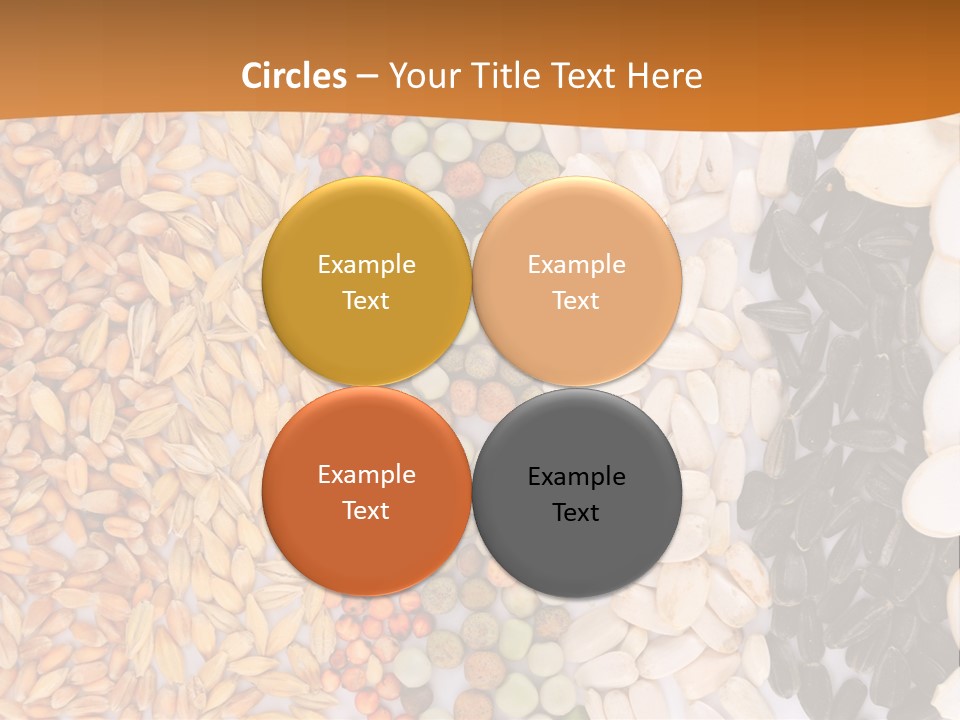 Stalk Slice Straw PowerPoint Template