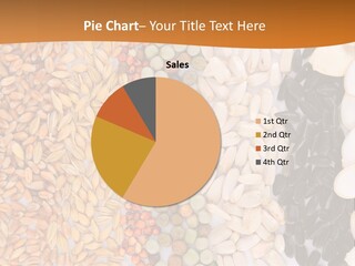 Stalk Slice Straw PowerPoint Template