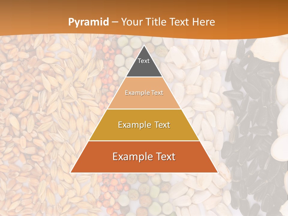 Stalk Slice Straw PowerPoint Template