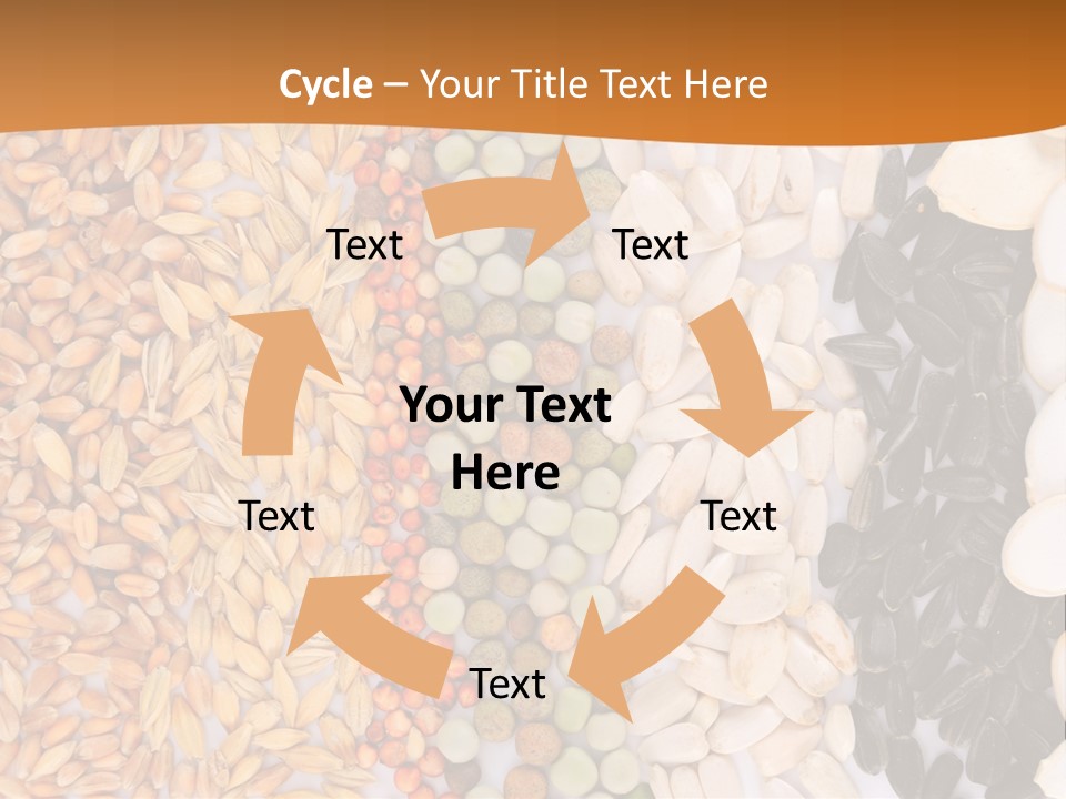 Stalk Slice Straw PowerPoint Template