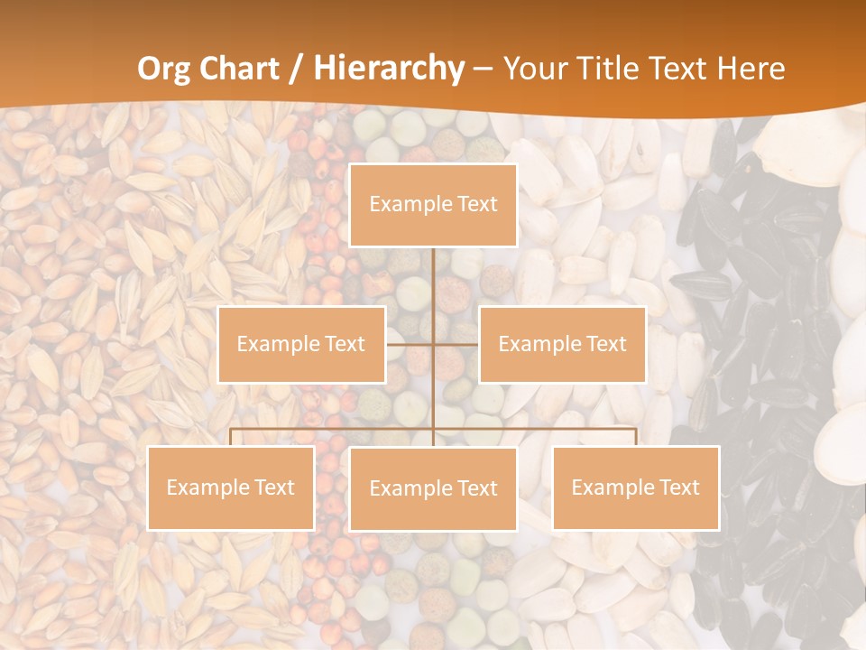 Stalk Slice Straw PowerPoint Template