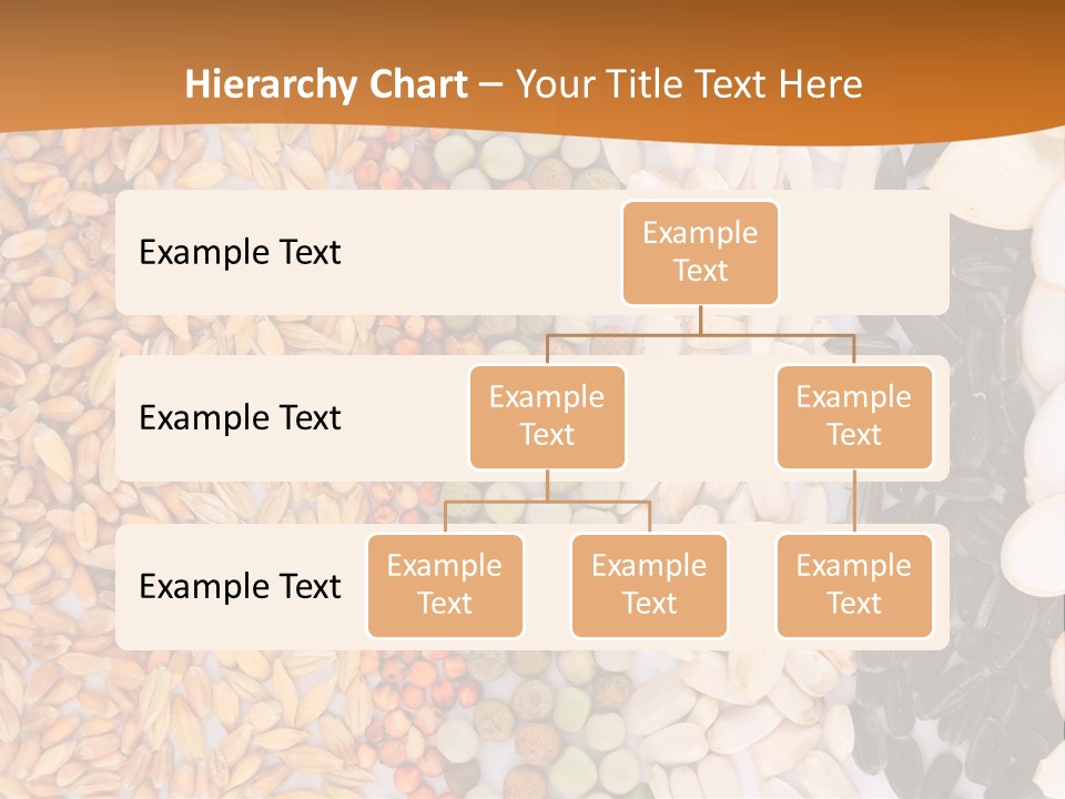 Stalk Slice Straw PowerPoint Template