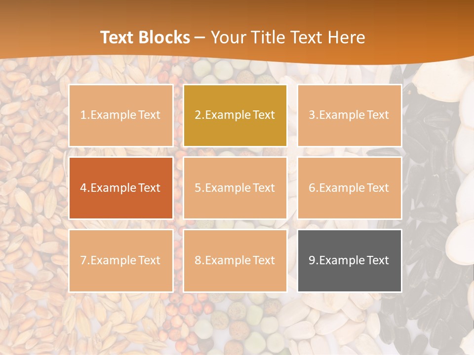 Stalk Slice Straw PowerPoint Template