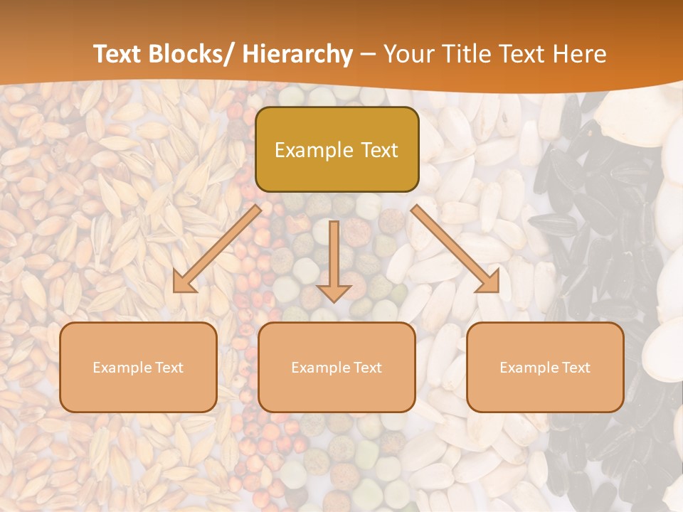 Stalk Slice Straw PowerPoint Template