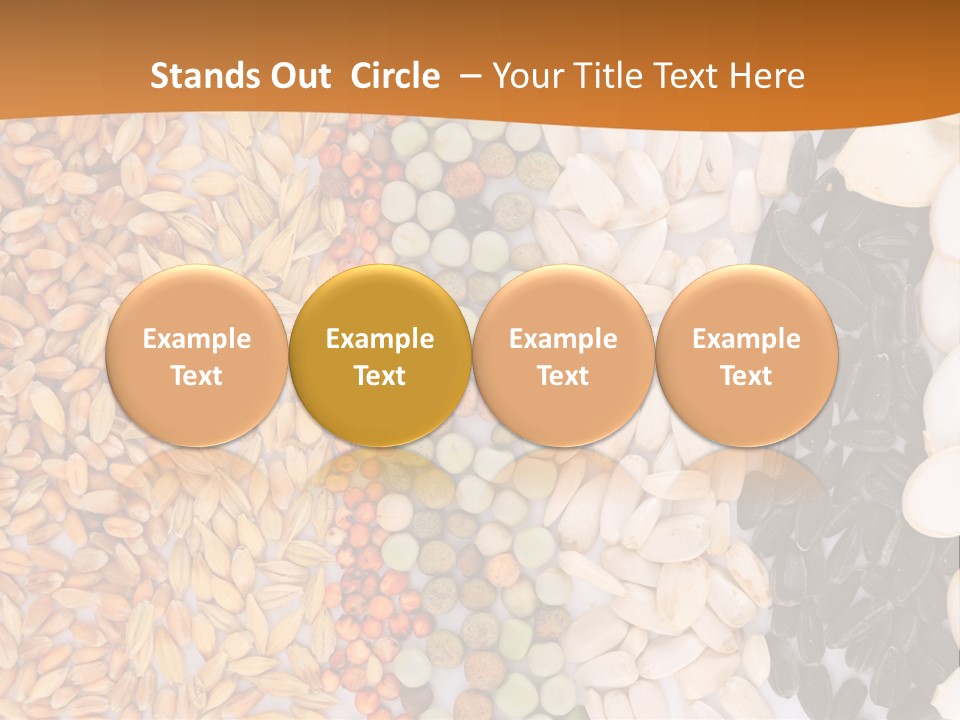 Stalk Slice Straw PowerPoint Template