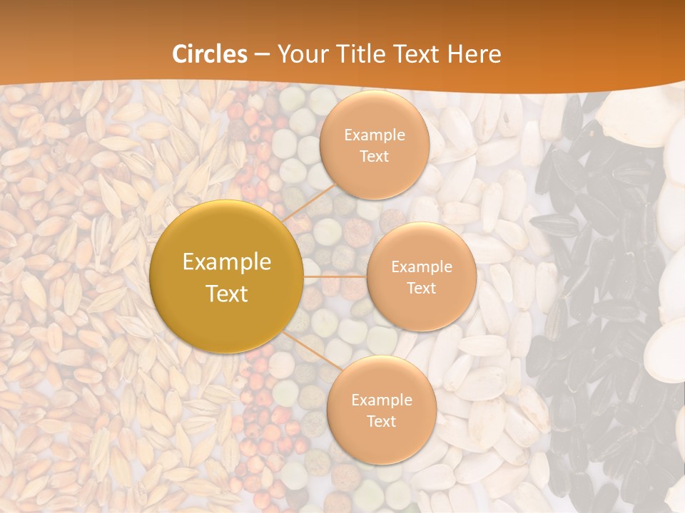 Stalk Slice Straw PowerPoint Template