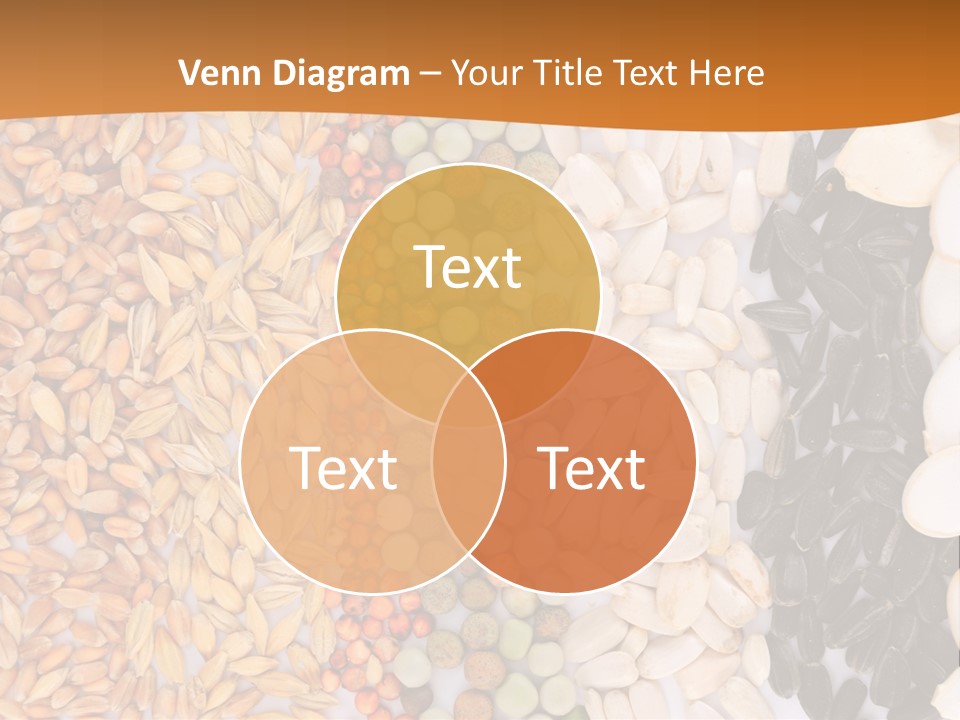 Stalk Slice Straw PowerPoint Template