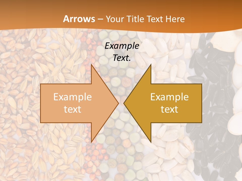 Stalk Slice Straw PowerPoint Template