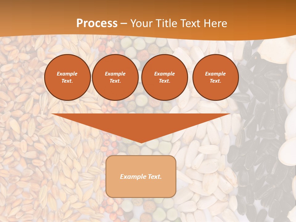 Stalk Slice Straw PowerPoint Template