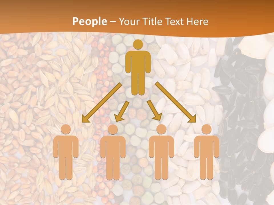 Stalk Slice Straw PowerPoint Template