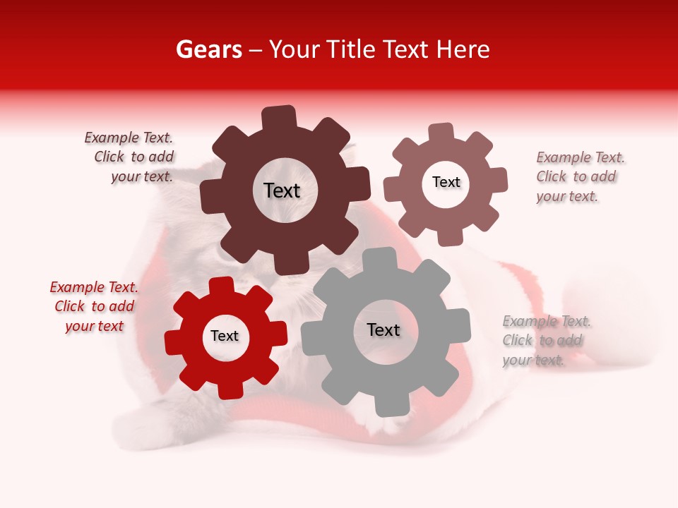 Gifts Hat Fur PowerPoint Template