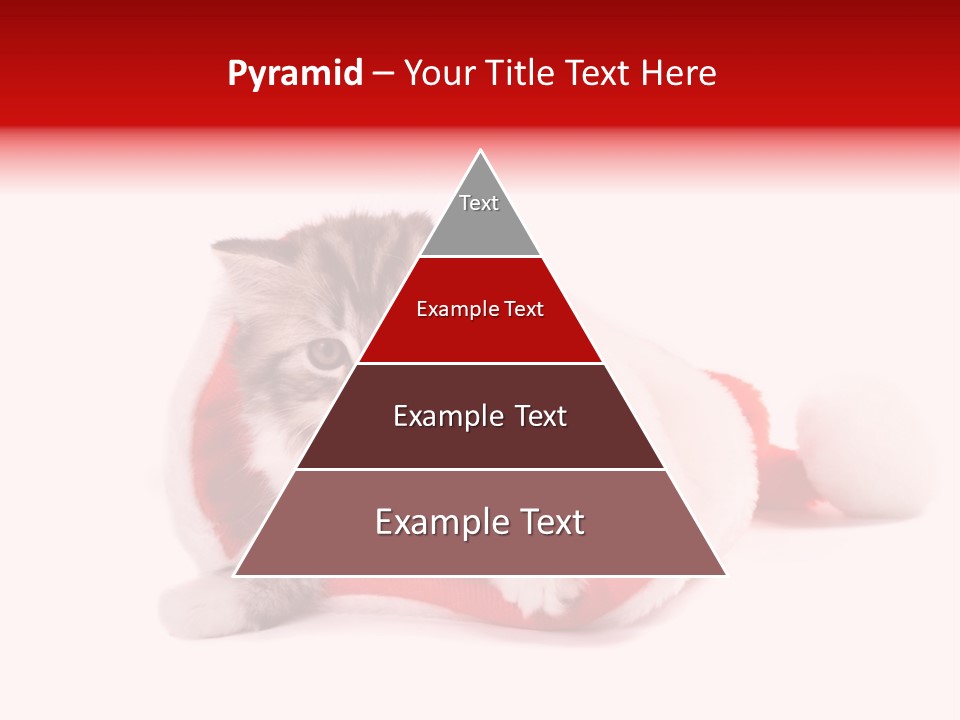 Gifts Hat Fur PowerPoint Template