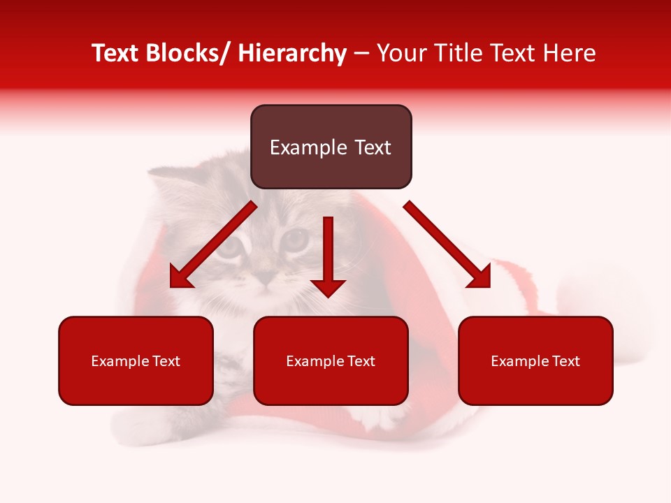 Gifts Hat Fur PowerPoint Template