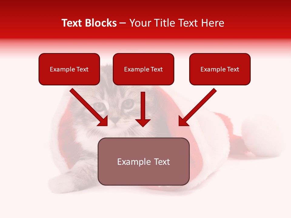 Gifts Hat Fur PowerPoint Template