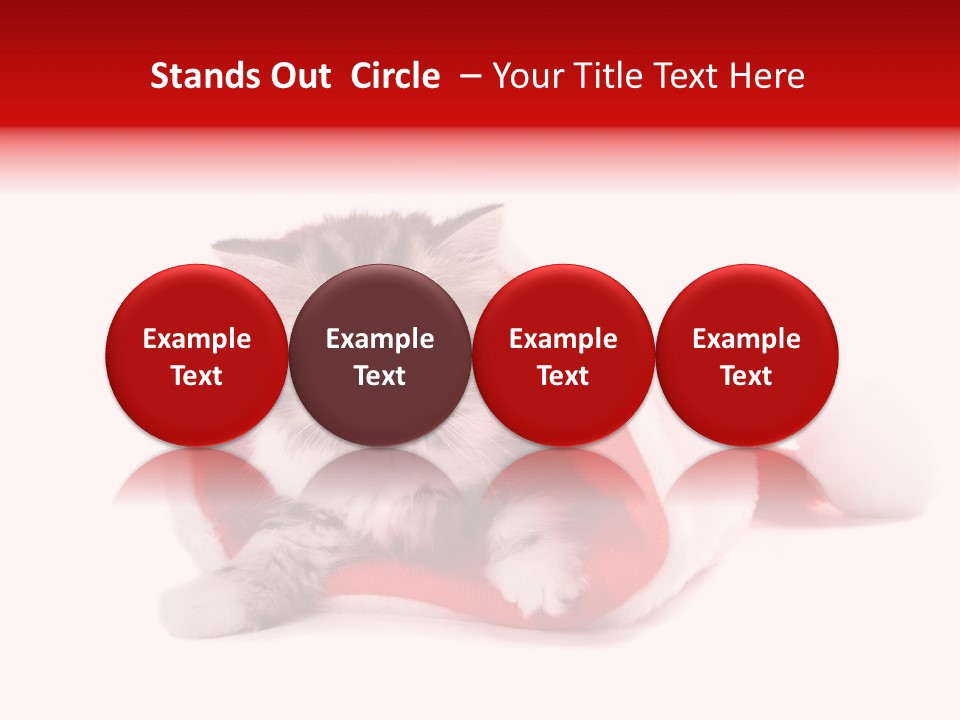 Gifts Hat Fur PowerPoint Template