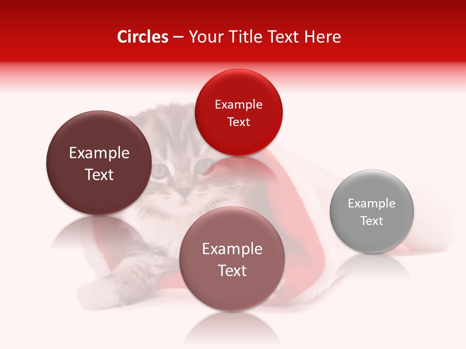 Gifts Hat Fur PowerPoint Template