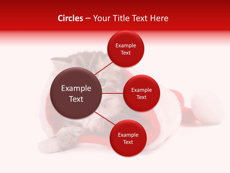 Gifts Hat Fur PowerPoint Template