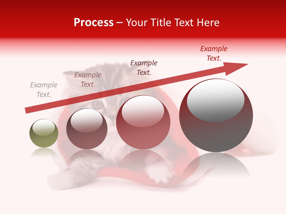 Gifts Hat Fur PowerPoint Template