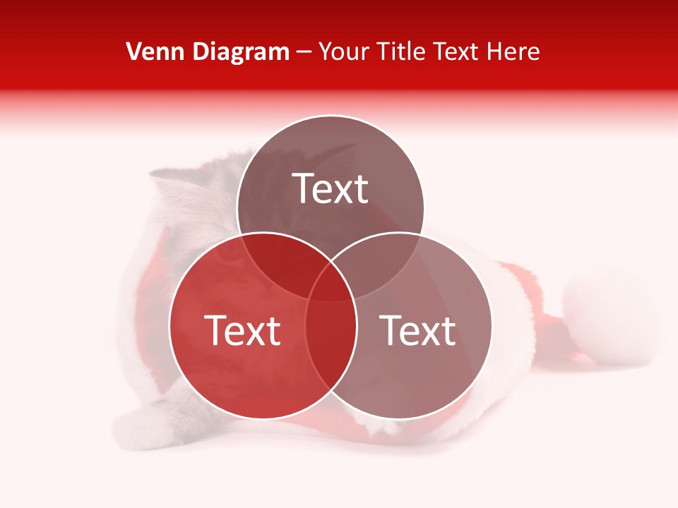 Gifts Hat Fur PowerPoint Template