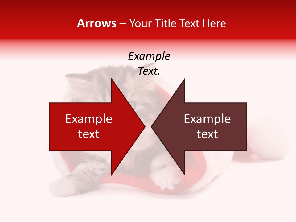 Gifts Hat Fur PowerPoint Template