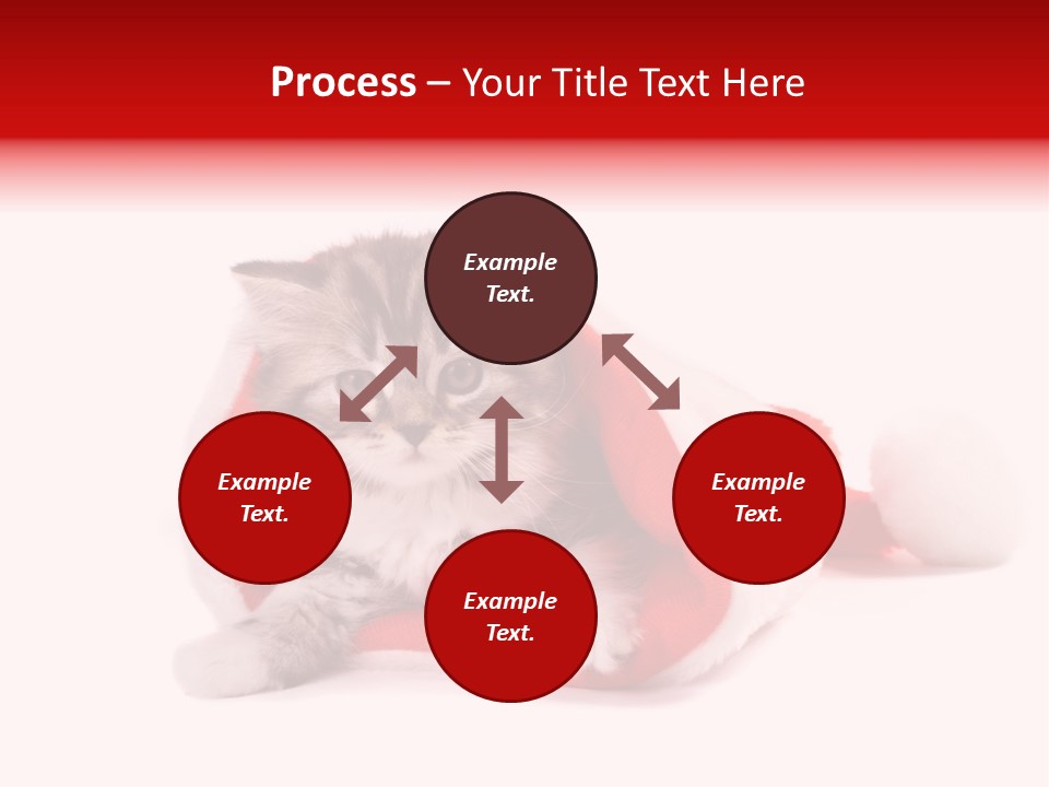 Gifts Hat Fur PowerPoint Template