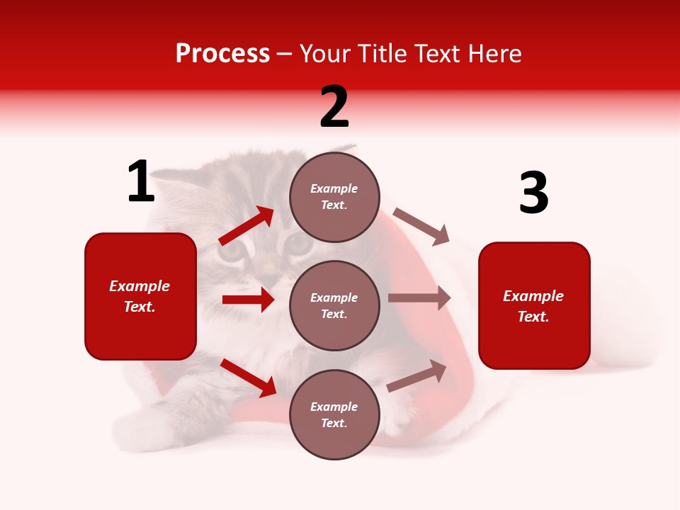 Gifts Hat Fur PowerPoint Template