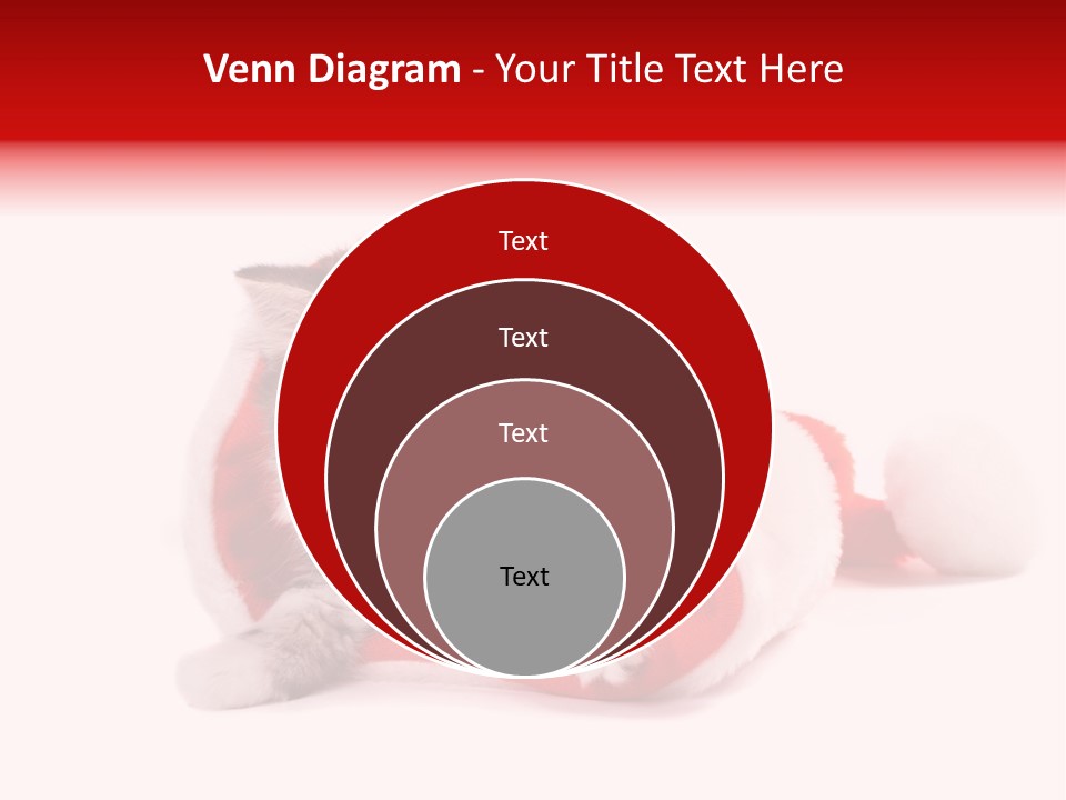 Gifts Hat Fur PowerPoint Template