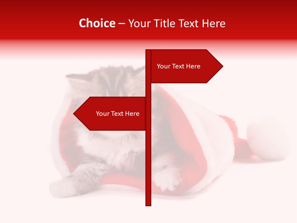 Gifts Hat Fur PowerPoint Template