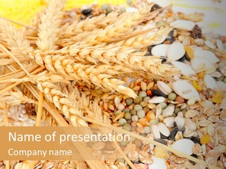 Vegetarian Shelled Rice PowerPoint Template