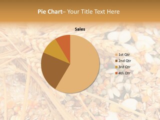 Vegetarian Shelled Rice PowerPoint Template