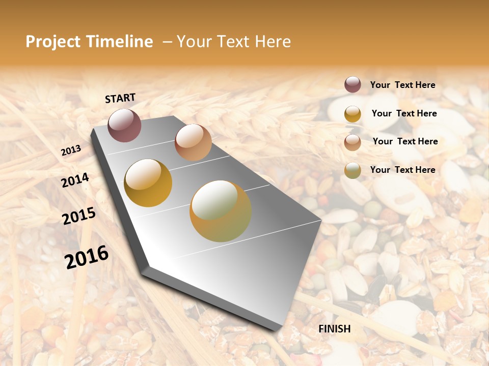 Vegetarian Shelled Rice PowerPoint Template