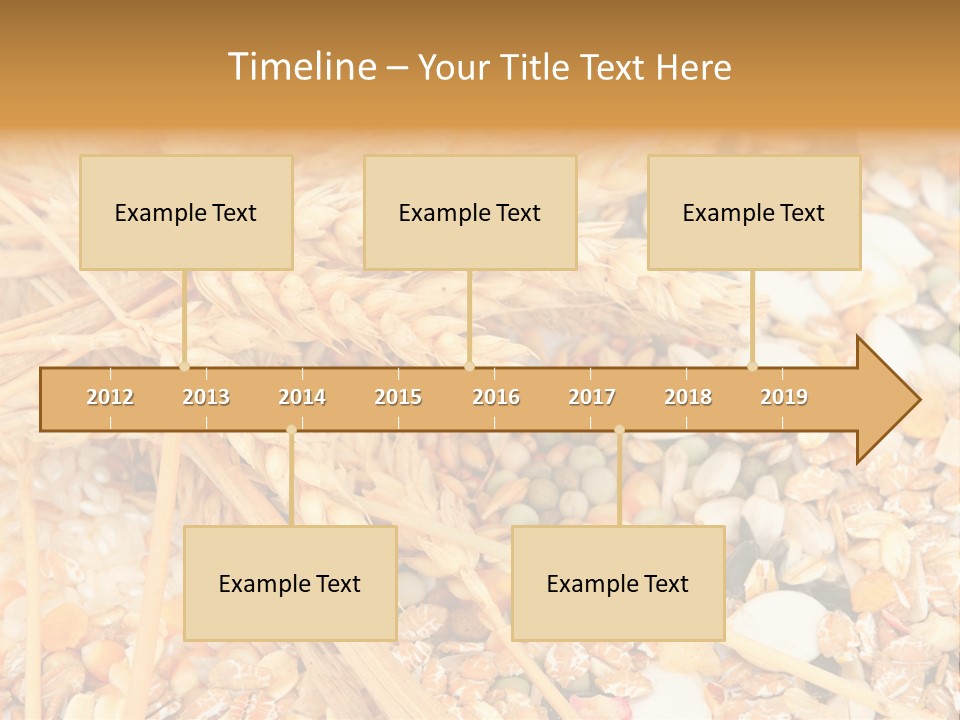 Vegetarian Shelled Rice PowerPoint Template