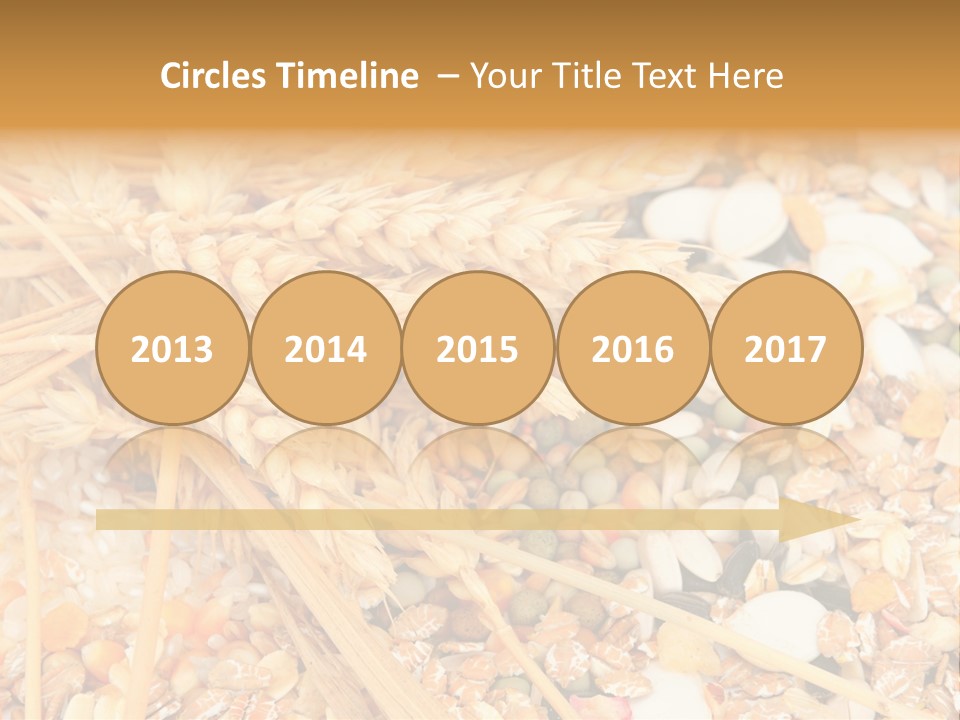 Vegetarian Shelled Rice PowerPoint Template