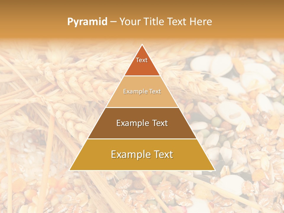 Vegetarian Shelled Rice PowerPoint Template