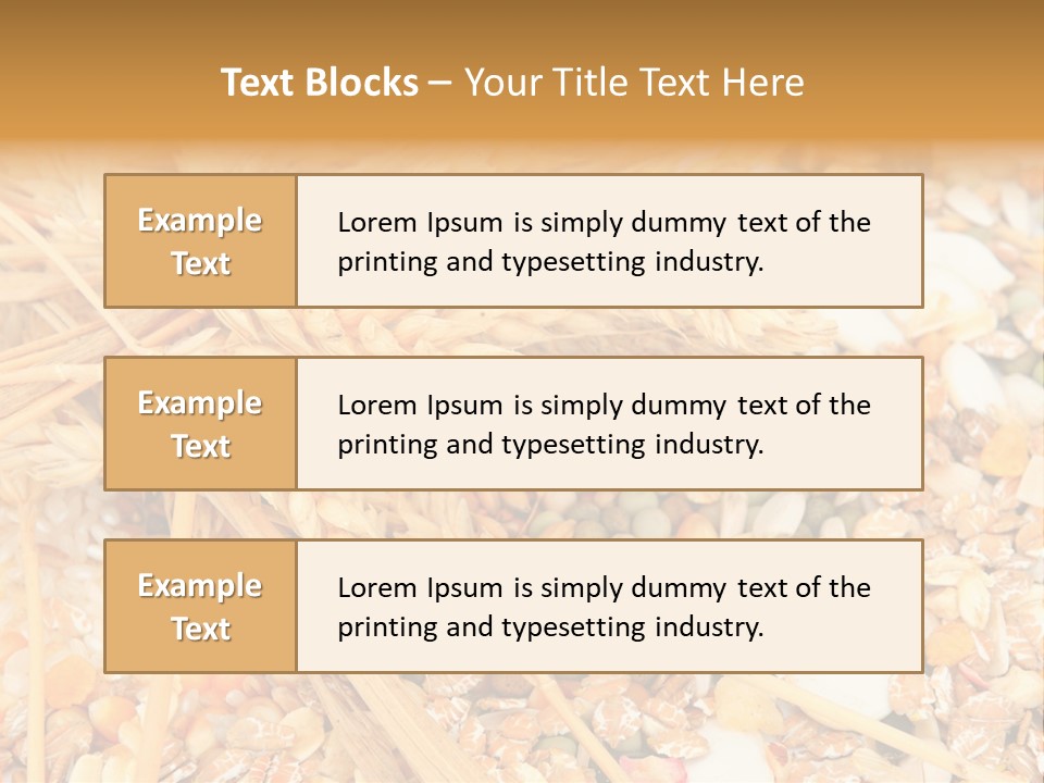 Vegetarian Shelled Rice PowerPoint Template