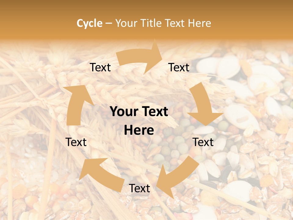 Vegetarian Shelled Rice PowerPoint Template