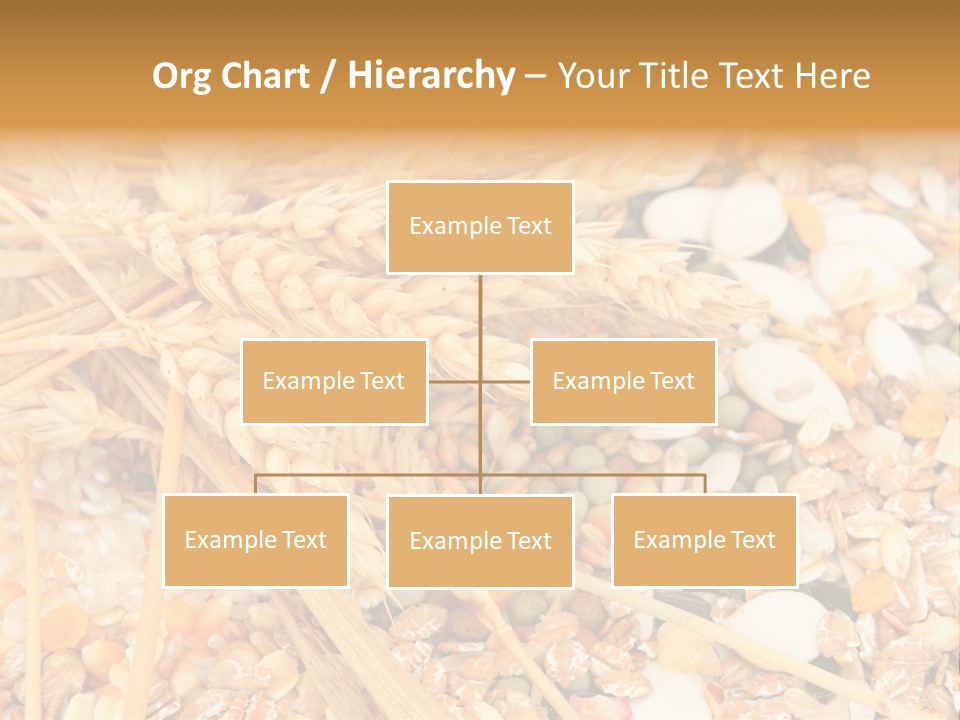 Vegetarian Shelled Rice PowerPoint Template